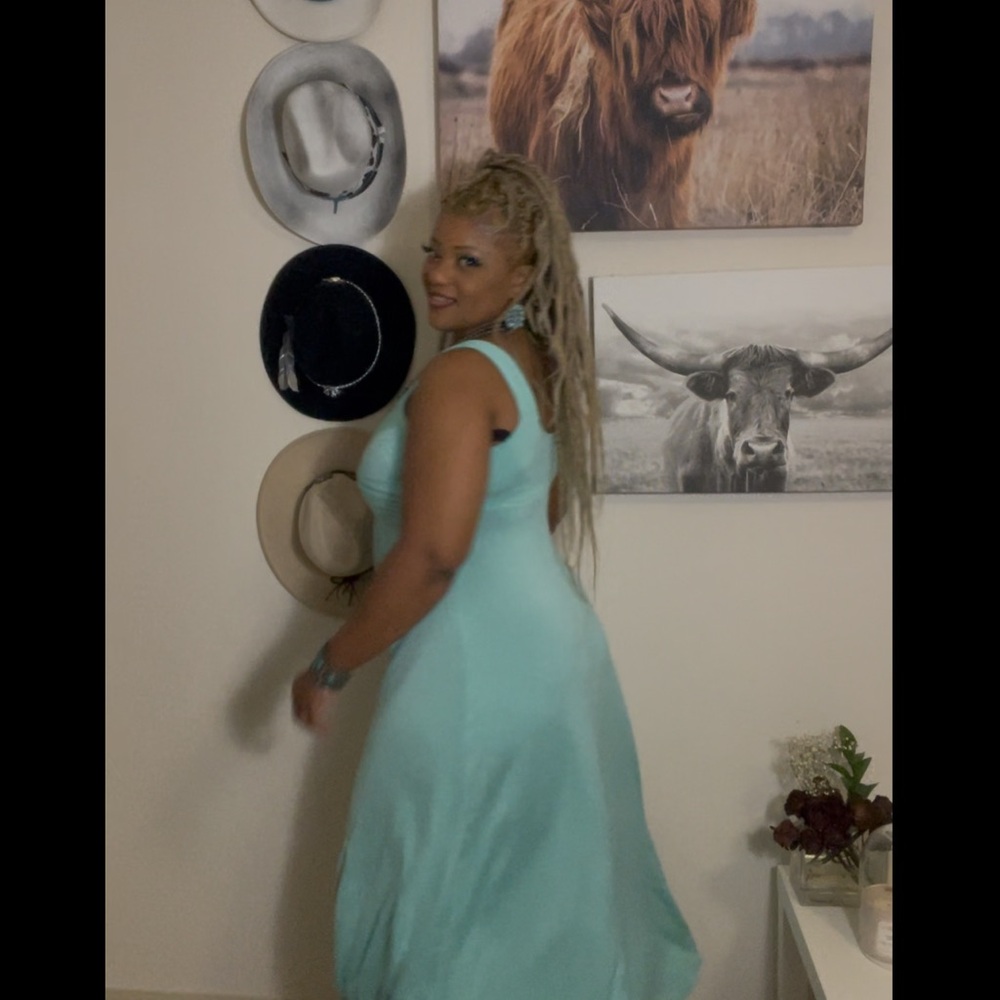 Elegant Aqua Sleeveless Dress - Picture 10 of 10